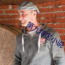 第九特區小說