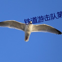 鐵道遊擊隊第一部全集在線