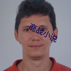 商战小说