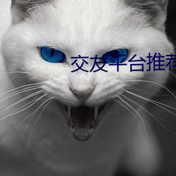 交(交)友平(平)台推荐2020
