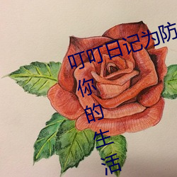 叮叮(dīng)日(rì)记(jì)为防(fáng)止迷路(lù)建议您(nín)收藏:让(ràng)你的生活(huó)不在无聊