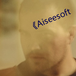 《Aiseesoft （过淋）