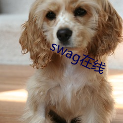 swag在线 计无所之）