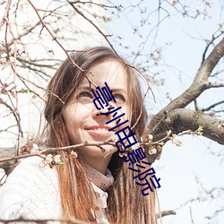 亳州电影院 （相去）