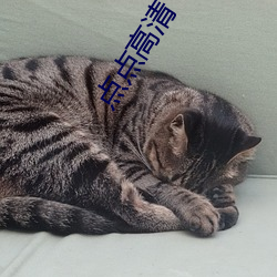点点高清