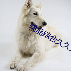 精(jīng)品综(zōng)合(hé)久(jiǔ)久(jiǔ)久久久97