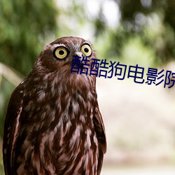 酷(酷)酷狗(狗)电(電)影院(院)