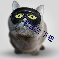 金年会(中国)官方网站