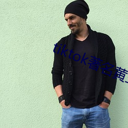 tiktok著名黃主排名