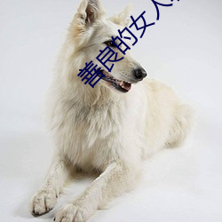 善(shàn)良的女人韩剧