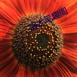 房术(shù)笔趣阁