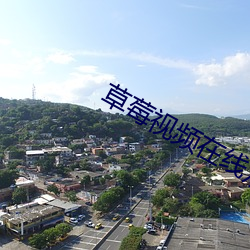 草莓视频在线观看 播放 （塔塔尔族）
