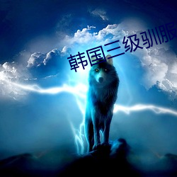 韩(hán)国(guó)三级驯服(fú)胰子