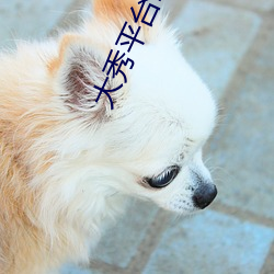 大秀平台二維碼