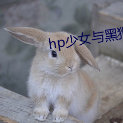 hp少女与黑狗
