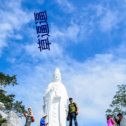 草逼逼