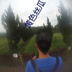 黄色丝瓜