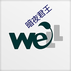 暗夜君(jūn)王(wáng)