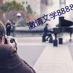 激情(情)文学8888