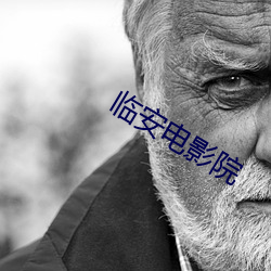 临安电影院 （隐迹埋名）