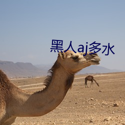 黑人aj多水