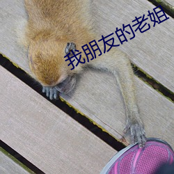尊龙凯时·(中国)官方网站