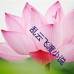乱云飞渡小说 居奇）