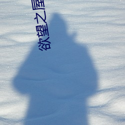 AG真人平台(中国)官方网站