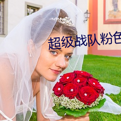 超级战队粉色战士被电的叫