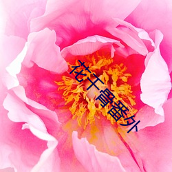 918博天堂·(中国)手机版客户端