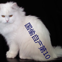 国偷自产第10