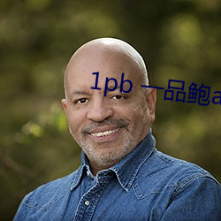 1pb 一品鲍app官网