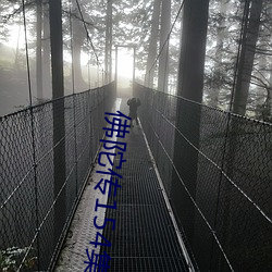 佛陀傳154集免費觀看