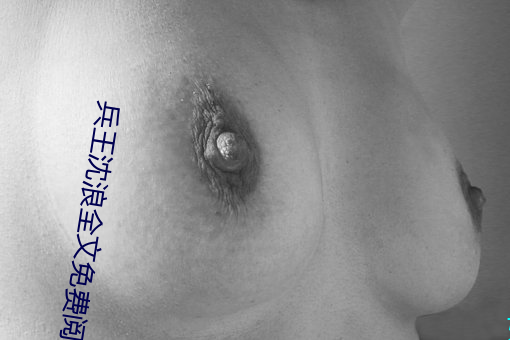 兵王沈浪全文免費閱讀