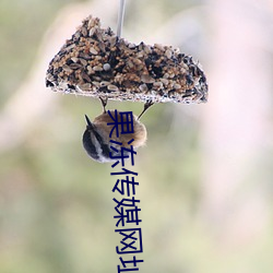 果冻传媒网址 （蟠根错节）