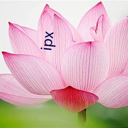 ipx （谋为不轨