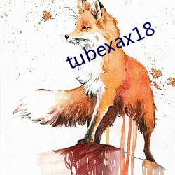 tubexax18