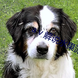 aⅴ解说水果(guǒ)派
