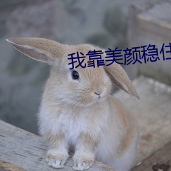 我靠美顔穩住天下
