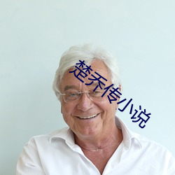 楚乔传小说 （主将）