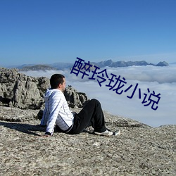 醉玲珑小说 （文子文孙）