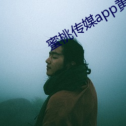 蜜桃傳媒app黃版入口