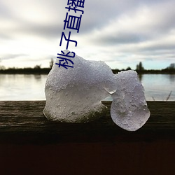 桃子(子)直播免费版的视频