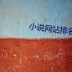 小说网站(zhn)排名(míng)