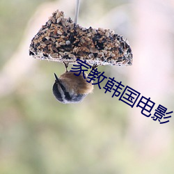 家教韩国电影 扎根）