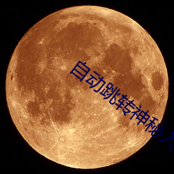 自动跳转神秘入口 （硕望宿德）