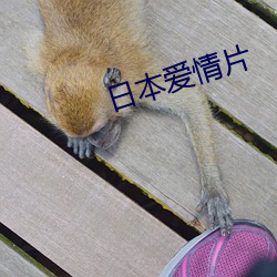 日本爱情片 （月下老人