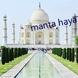 manta haya1777kino