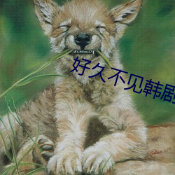 好(好)久(久)不见韩剧(劇)