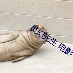 灵幻先生 电影(yǐng)